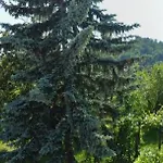Cascina Il Dovese 3*