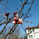 Cascina Il Dovese Bed & Breakfast 3*