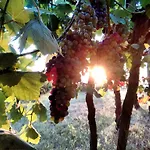 Cascina Il Dovese Bed & Breakfast 3*