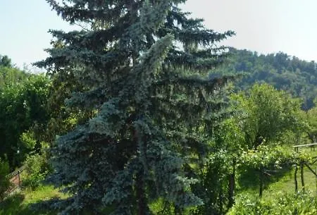Cascina Il Dovese 3*