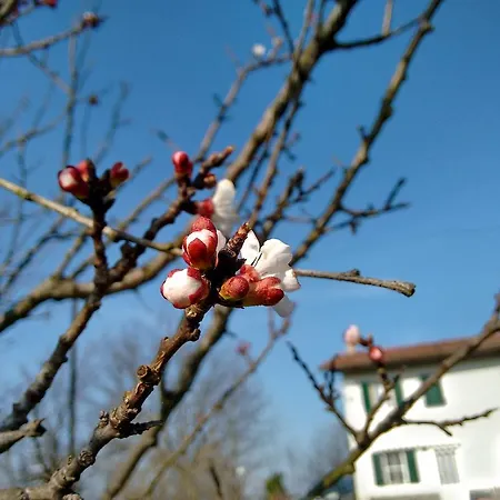Cascina Il Dovese Couette-café 2*