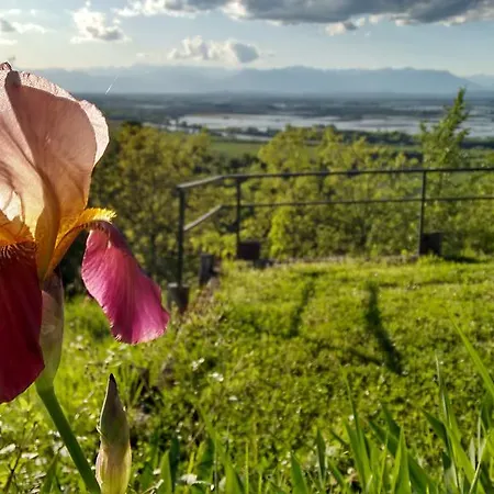 Cascina Il Dovese Габияно