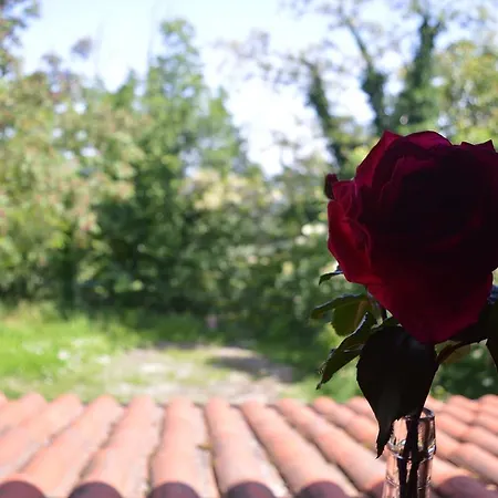 Cascina Il Dovese 3* Габияно