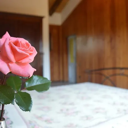 Cascina Il Dovese Couette-café