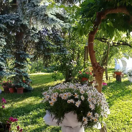 Cascina Il Dovese 3*