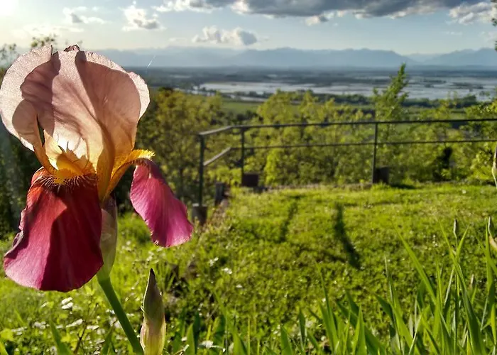Cascina Il Dovese Gabiano