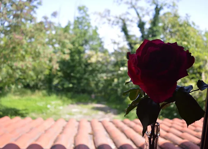 Cascina Il Dovese 3* Gabiano