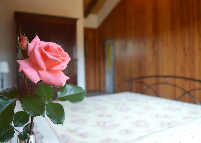 Cascina Il Dovese Bed and breakfast