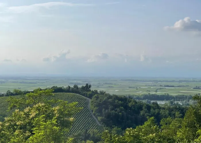 Cascina Il Dovese Bed and breakfast Gabiano